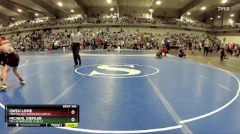 150 lbs Quarterfinal - Micheal Diemler, Tri-Cap Wrestling Club-AA vs Owen Lowe, Trenton Kids Wrestling Club-AA