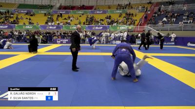 RONIÊ GALVÃO NORONHA vs FELIPE SILVA SANTOS 2024 Brasileiro Jiu-Jitsu IBJJF