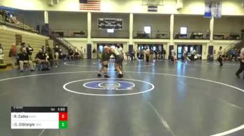 215 lbs Semifinal - Ryan Catka, Sun Valley vs Carl DiGiorgio, Central Bucks West