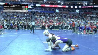 1A-132 lbs Champ. Round 1 - Ethan Gayken, West Hancock, Britt vs JJ Callahan, Alburnett