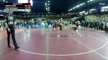 110 lbs Semifinal - Addilyn Amos, Troy Buchanan vs Zoey McDonald, St. John Neumann