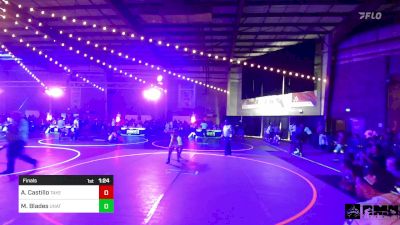 80 lbs Final - Aissa Castillo, Takedown Elite vs Mandi Blades, Unattached