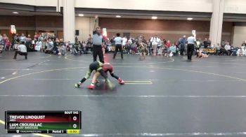 65 lbs Cons. Round 3 - Trevor Lindquist, Ares vs Liam Crousillac, Gulf Coast Wrestling