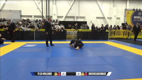 Jonalyn Rose Aguas Romualdez vs Yi Liu-Williams 2024 World IBJJF Jiu-Jitsu No-Gi Championship