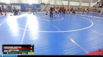 67 lbs Semifinal - Alexander Sheffler, Team Real Life Wrestling vs Saul Heist-Levine, Bozeman WC