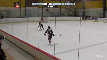 Replay: Home - 2024 Chicago Reapers U12 vs Team Illinois U12 | Dec 1 @ 3 PM