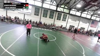 133-137 lbs Quarterfinal - Lucas Ankarlo, R13 vs Joseph Woodard, Rogue Warrior