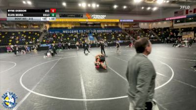 215 lbs Cons. Round 3 - Elvis Mora, DeKalb vs Ryne Dobson, Ankeny