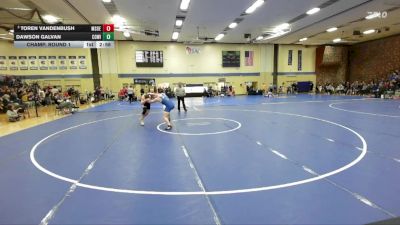 174 lbs Champ. Round 1 - Dawson Galvan, Concordia (wi) vs Toren Vandenbush, Msoe