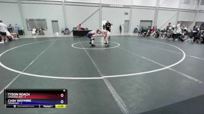 120 lbs Placement Matches (16 Team) - Tyson Roach, Louisiana Red vs Cash Waymire, Tennessee