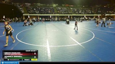 77 lbs Champ. Round 1 - Gibson Engelkes, Ironhawk Wrestling Academy vs Dominick Sinnwell, Iowa