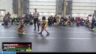 88 lbs Round 4 (6 Team) - Ramon Rodriguez, AACO Allstars vs Collin Beattie, Quest