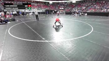 D2-120 lbs Quarterfinal - Lane Andersen, Amery vs Garrett DeLong, Saint Croix Central