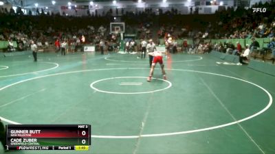 138 lbs Semifinal - Gunner Butt, New Palestine vs Cade Zuber, Greenfield-Central