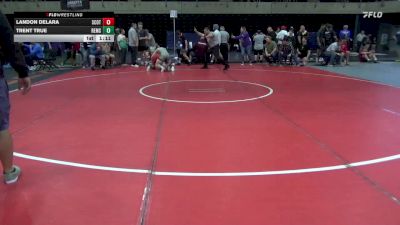 189 lbs Quarterfinal - Landon Delara, Scottdale vs Trent True, Remsen