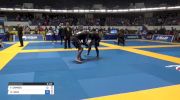 FABRICIO CAMOES vs NICHOLAS HAAS World IBJJF Jiu-Jitsu No-Gi Championships