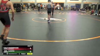 113 lbs Quarterfinal - Cale Vandermark, Ankeny Centennial vs Abel Aldama, Newton