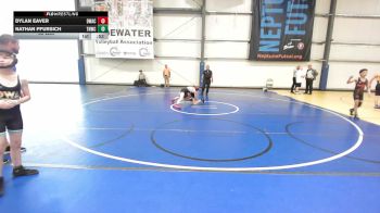 80 lbs Rr Rnd 3 - Dylan Eaver, Donahue Wrestling Academy vs Nathan Pfursich, TNWC