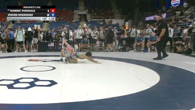 126 lbs Champ. Rd Of 128 - Dominic Pasquale, Illinois vs Steven Rodriguez, Arkansas