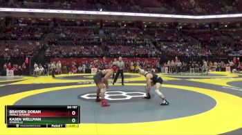 D3-157 lbs Quarterfinal - Kasen Wellman, Ayersville vs Brayden Doran, Preble Shawnee