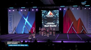 Carolina Spirit Athletics - Reef Sharks [2025 L3 Youth - D2 - Small - WC Day 2] 2025 The Youth Summit