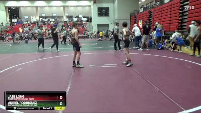 95 lbs Quarterfinal - Adriel Rodriguez, Buckhorn Youth Wrestling vs Jase Long, Panther Wrestling Club