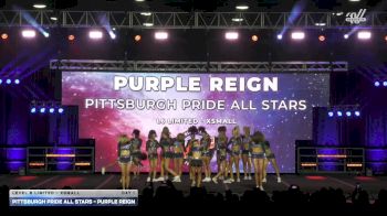 Pittsburgh Pride All Stars - Purple Reign [2025 L6 Limited - XSmall Day 1] 2025 WSF Grand Nationals