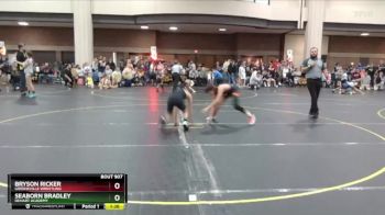 100 lbs Quarterfinal - Seaborn Bradley, DeHart Academy vs Bryson Ricker, Greeneville Wrestling