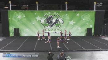 Wrights Wildcats Cheer - Wright's Wildcats - Diamonds [2025 L1 Youth Day 1] 2025 CSG Indy Challenge