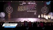 Rainbow Dance Academy - MINI POM [2025 Mini - Pom - Large Day 1] 2025 GROOVE Dance Grand Nationals