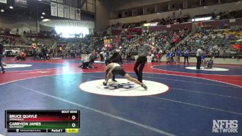 6A 175 lbs Quarterfinal - Bruce Quayle, Springdale vs Carryion James, Southwest