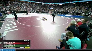 Girls 120 lbs Semifinal - Dealya Collins, Mineral Point Girls vs Hayli Fletcher, Fort Atkinson Girls