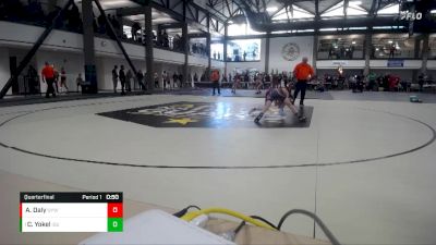 97-103 lbs Quarterfinal - Carson Yokel, Iguanas vs Alec Daly, Unity Youth WC