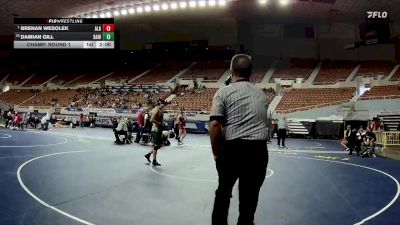 138-D4 Champ. Round 1 - Brenan Wesolek, Arizona Lutheran Academy vs Damian Gill, Santa Rita