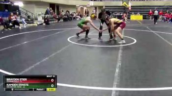 160 lbs Finals (8 Team) - Brayden Stier, Stewartville vs Kamden Ernste, Rochester Mayo