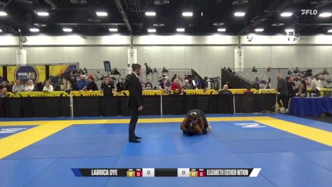 Elizabeth Esther Nitkin vs Jonalyn Labrica Dye 2024 World IBJJF Jiu-Jitsu No-Gi Championship