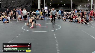 68 lbs Placement (4 Team) - Noah Hernandez, Dynasty National Team vs Dexter Galofaro, The Compound