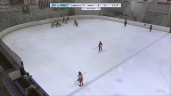 Replay: Home - 2024 Hockey Farm SQT vs Wayne SQT | Apr 6 @ 6 PM
