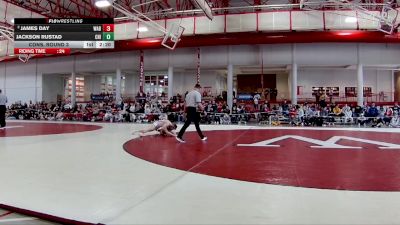 133 lbs Cons. Round 3 - James Day, Wabash vs Jackson Rustad, Chicago