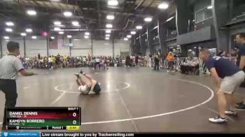 96 lbs Round 1 - Kamdyn Borrero, PA Gold vs Daniel Dennis, Team USA