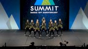 Premier Athletics - Knoxville North - Blacktip Sharks [2024 Junior - Hip Hop - Small Semis] 2024 The Dance Summit