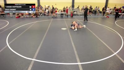 115 lbs Cons. Round 2 - Chase Hoffmann, MN vs Cale Cherry, NE