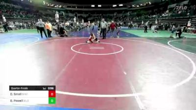 65 lbs Quarterfinal - Donatello Small, Spazz Wrestling vs Bryon Powell, Delsea