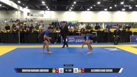 Alexander Kane Dovsek vs Jonathan Mariano Anderson 2025 World IBJJF Jiu-Jitsu No-Gi Championship
