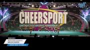 Texas Aces Athletics - Wildcards [2025 L4 Senior - D2 - Small - A Day 2] 2025 CHEERSPORT National All Star Cheerleading Championship