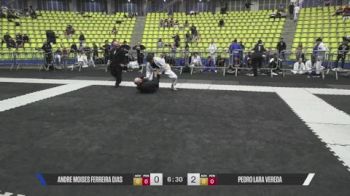 Pedro Lara Vereda vs ANDRE MOISES FERREIRA DIAS 2026 CBJJE International BJJ Championships
