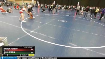 120 lbs Cons. Round 2 - Cilus Cabral, AZ vs Payton Murphy, IL