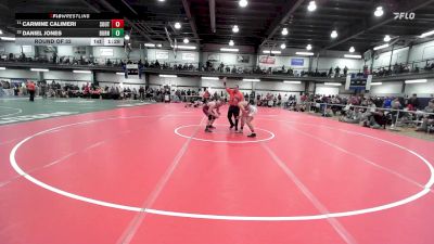 138 lbs Round Of 32 - Carmine Calimeri, Southwestern vs Daniel Jones, Burnt Hills
