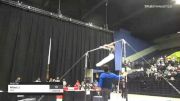 Miles Li - High Bar, MHG - 2021 USA Gymnastics Development Program National Championships