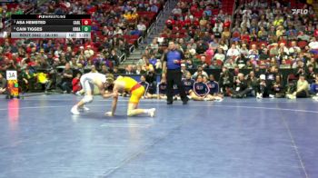 3A-190 lbs 1st Place Match - Asa Hemsted, Carlisle vs Cain Tigges, Urbandale